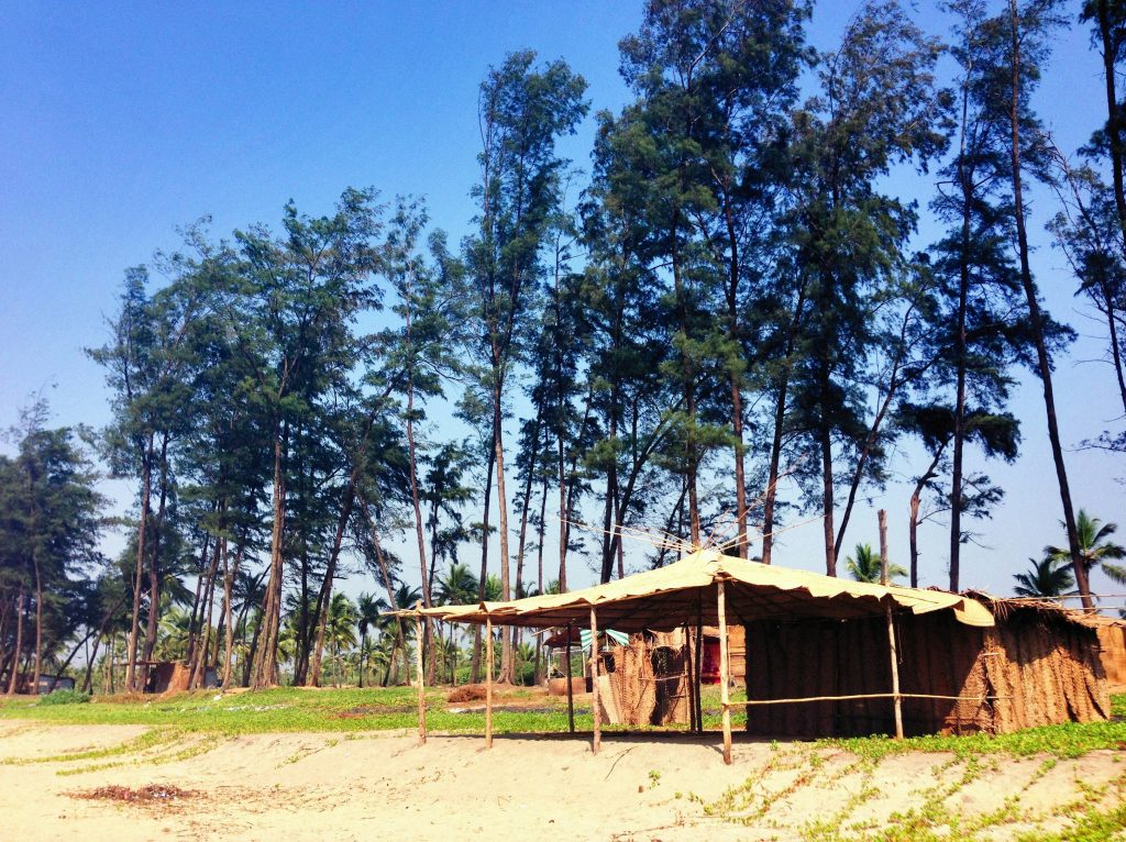 alexey demidov lmAuSfigvHM unsplash