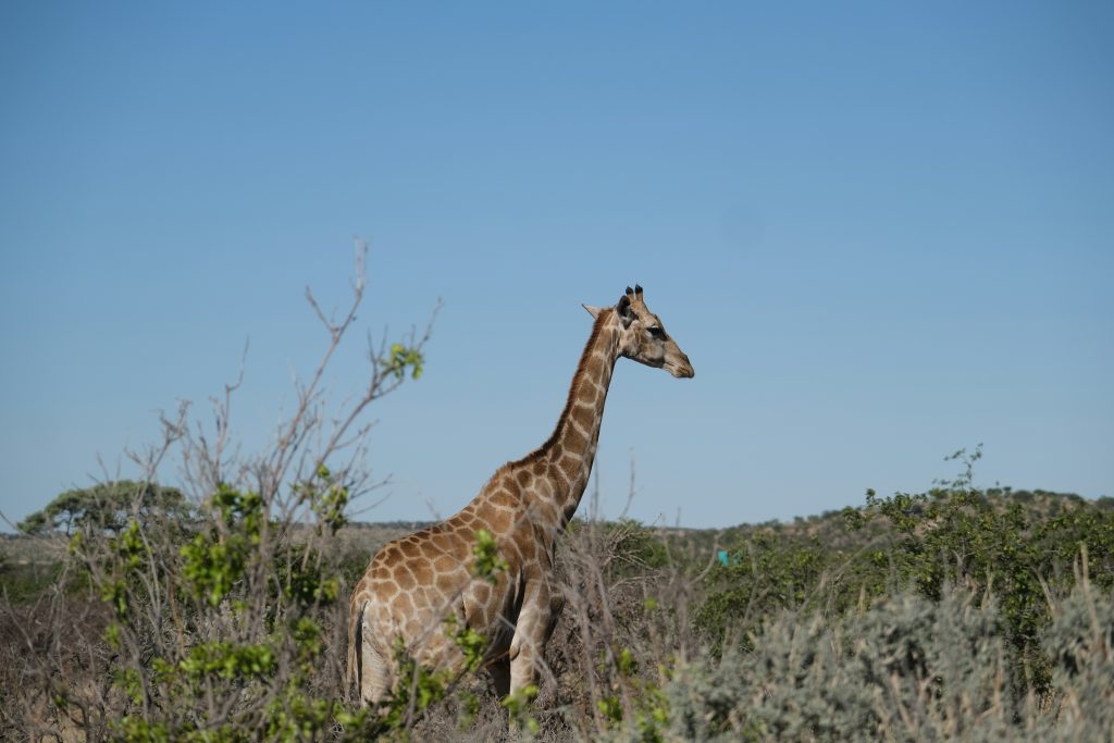 andreea munteanu NkYj4T091to unsplash