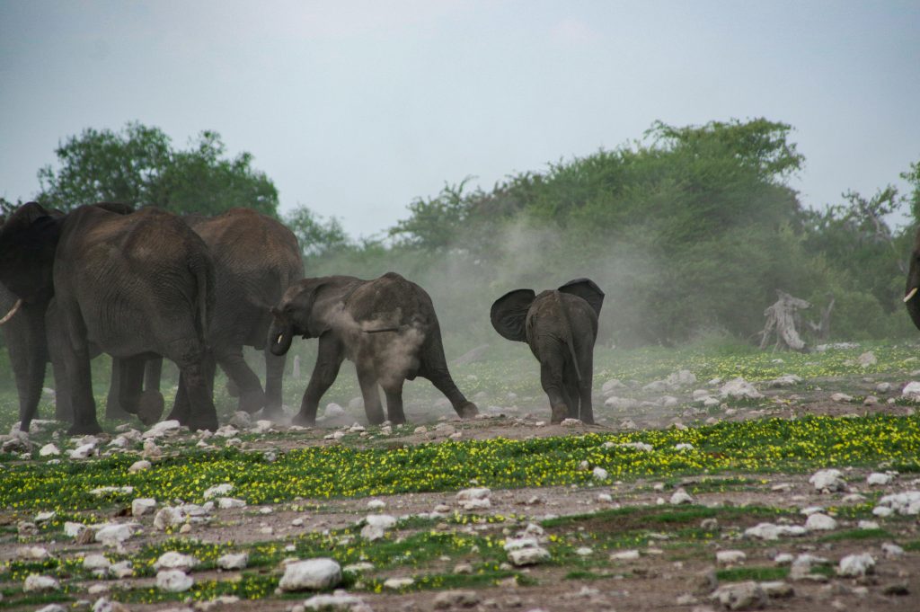 m oros hdZrRSrF1no unsplash