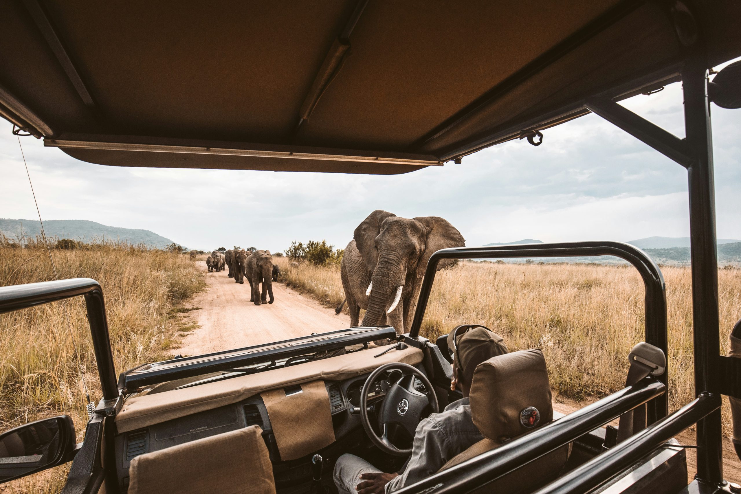 Safari Packing List