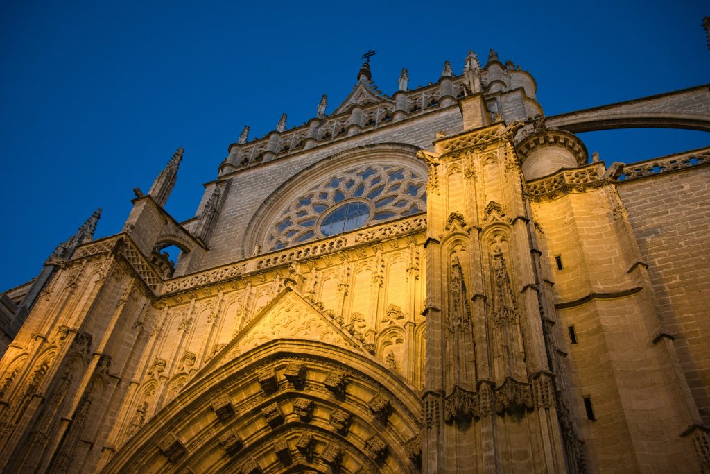 carlos tejera o8lu1I8RjA0 unsplash
